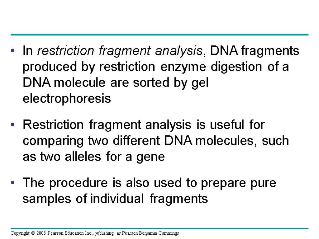 In restriction fragment analysis, DNA fragments produced by restriction enzyme digestion of a DNA